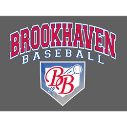 Brookhaven Baseball (@haven_baseball) / X